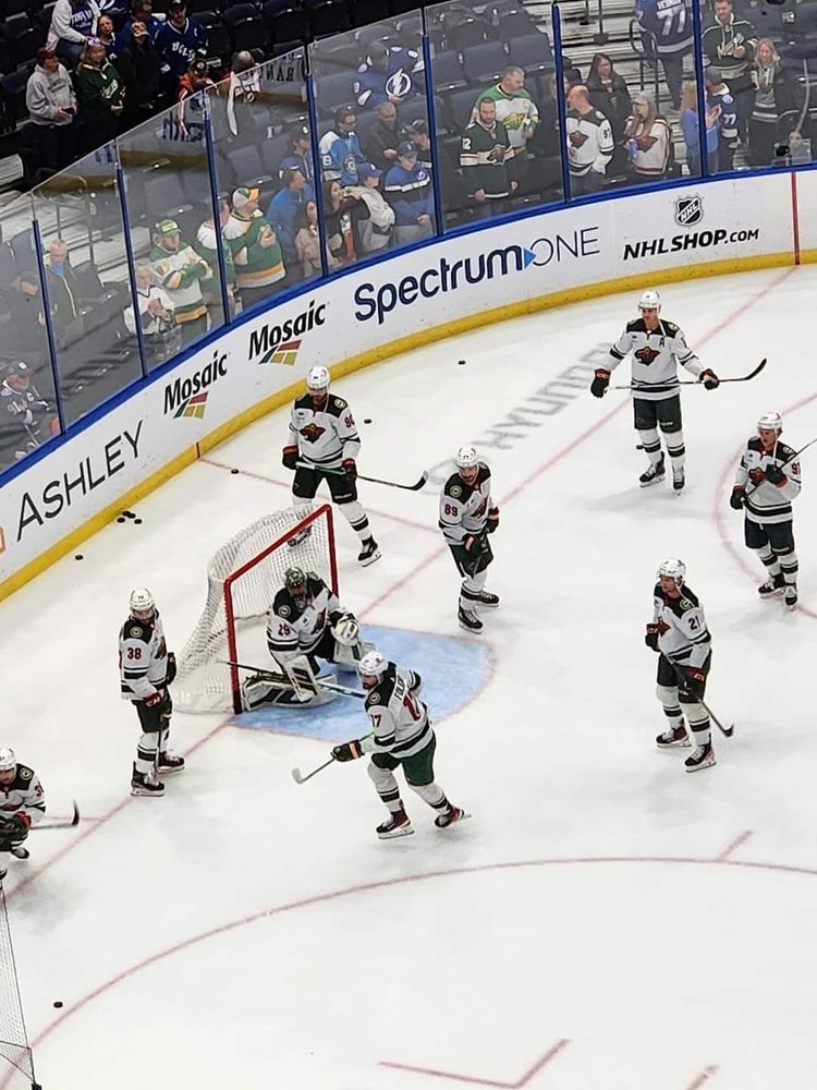 Minnesota Wild