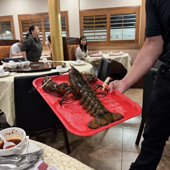 Capital Seafood Restaurant - Big boy! - Seafood Near Me - Garden Grove, California Capital Seafood Restaurant - Big boy! - Seafood Near Me - Garden Grove, California