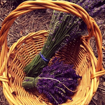 Frog Creek Farm Ojai - Pick Your Own Farms Near Me - Ojai, California