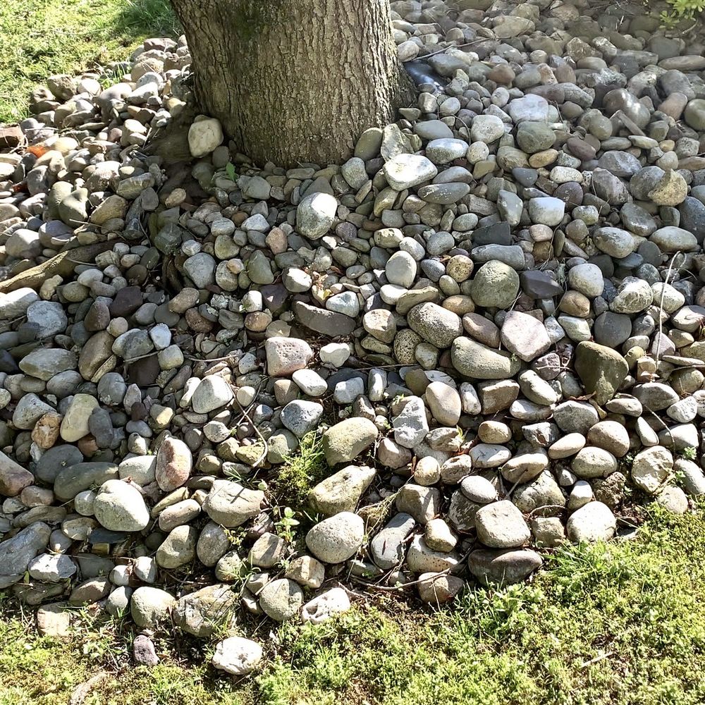 SLS Landscaping - a pile of rocks around a tree - Landscaping Near Me - Lumberton, New Jersey