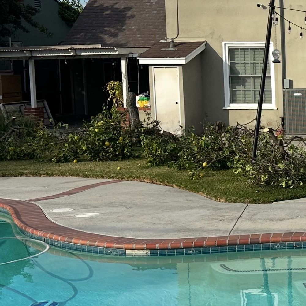 Americas Finest Trailer - Tree debris removal - Junk Removal & Hauling Near Me Americas Finest Trailer - Tree debris removal - Junk Removal & Hauling Near Me