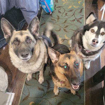 Bayshore Veterinary Hospital - Veterinarians Near Me - Holmdel, New Jersey Bayshore Veterinary Hospital - Veterinarians Near Me - Holmdel, New Jersey