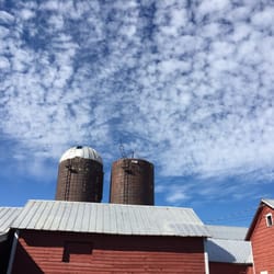 Ellms Family Farm - Waiting in line