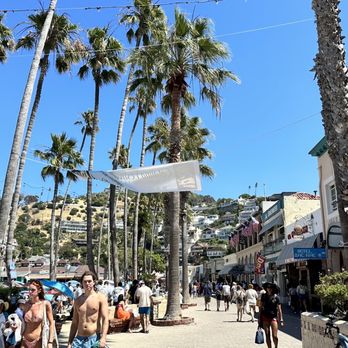 Catalina Island - Local Flavor Near Me Catalina Island - Local Flavor Near Me