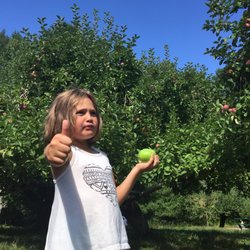 Hansel's Orchard - Really sweet orchard with adorable baskets to collect apples. Well-priced!