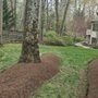 Photo of C Canas Lawn & Landscaping  Services