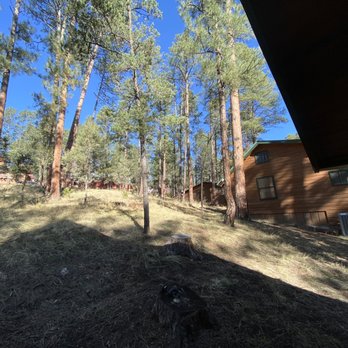 Story Book Cabins - Trees and cozy ness. - Vacation Rentals Near Me - Ruidoso, New Mexico