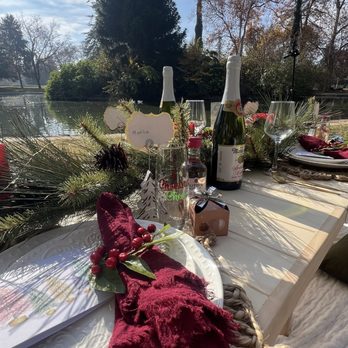 Sacramento Luxe Picnic - Picnic setup - Party & Event Planning Near Me Sacramento Luxe Picnic - Picnic setup - Party & Event Planning Near Me