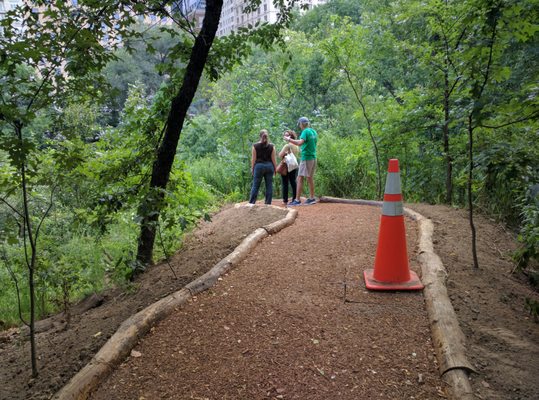 Hallett Nature Sanctuary by null