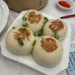 Don't recommend Pan fried pork buns Don't recommend Pan fried pork buns