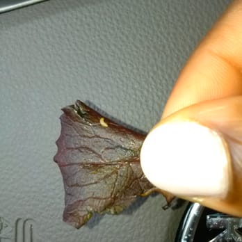 Rawesome Juicery - Meal worm on wilted lettuce. NOT quinoia! - Juice Bars & Smoothies Near Me - Atlanta, Georgia Rawesome Juicery - Meal worm on wilted lettuce. NOT quinoia! - Juice Bars & Smoothies Near Me - Atlanta, Georgia