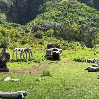 Kualoa Ranch - Tours Near Me - Kaneohe, Hawaii Kualoa Ranch - Tours Near Me - Kaneohe, Hawaii