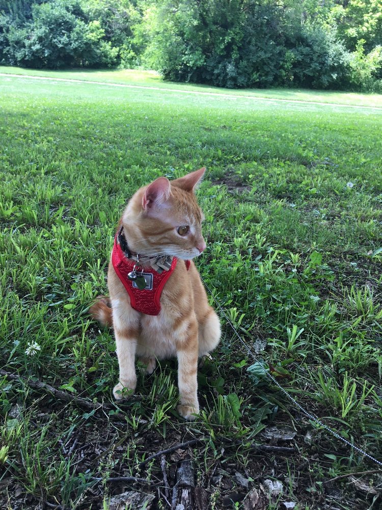 TJ MAXX - Updated July 2025 - 32 Columbus Center Dr, Columbus, Indiana