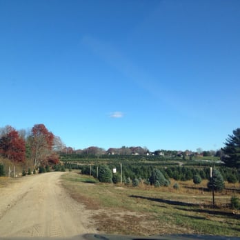 Henry's Christmas Tree Farm - Christmas Trees Near Me - Hope, Rhode Island Henry's Christmas Tree Farm - Christmas Trees Near Me - Hope, Rhode Island