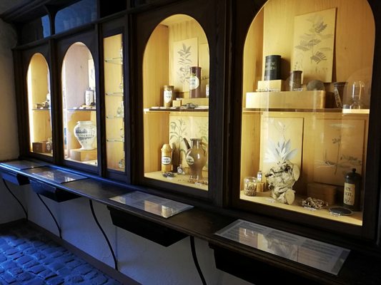 German Pharmacy Museum by null