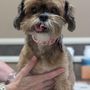 Photo of Horizon Animal Hospital