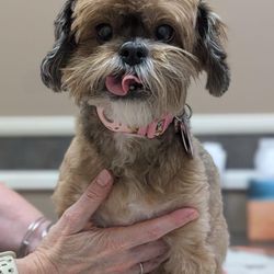 Horizon Animal Hospital