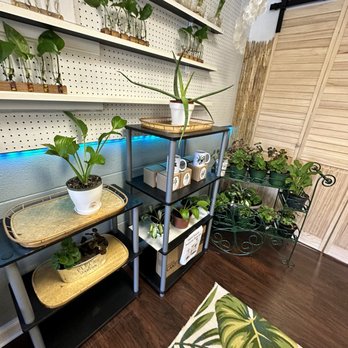 The Plant Hut - Inside - Nurseries & Gardening Near Me - Norfolk, Virginia The Plant Hut - Inside - Nurseries & Gardening Near Me - Norfolk, Virginia
