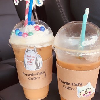 Tuxedo Cat's Coffee - Madagascar vanilla latte and Iced Americano - Coffee & Tea Near Me - San Antonio, Texas