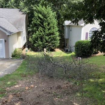 Thomas Tree Solutions - Tree Services Near Me - Covington, Georgia Thomas Tree Solutions - Tree Services Near Me - Covington, Georgia