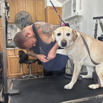 Clip-N & Groom-N - Pet Groomers Near Me - Dixon, California Clip-N & Groom-N - Pet Groomers Near Me - Dixon, California
