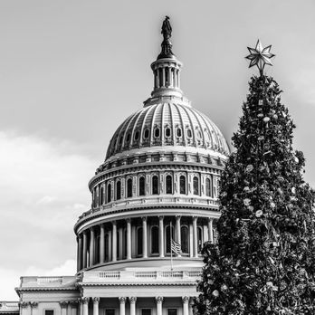 Split Mountain Metals - 2017 U.S. Capitol Christmas Tree and Star. - Metal Fabricators Near Me - Belgrade, Montana Split Mountain Metals - 2017 U.S. Capitol Christmas Tree and Star. - Metal Fabricators Near Me - Belgrade, Montana