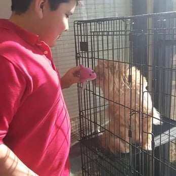 Texas Litter Control - Lions in the lobby! - Veterinarians Near Me - Spring, Texas