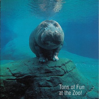 Britta's Animal Training - "Sven Turns Seven" article in Zoonooz magazine at the San Diego Zoo. - Pet Training Near Me Britta's Animal Training - "Sven Turns Seven" article in Zoonooz magazine at the San Diego Zoo. - Pet Training Near Me