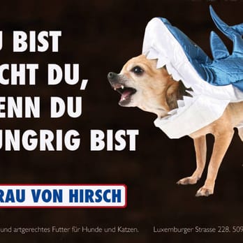 Frau Von Hirsch - Gesundes und artgerechtes Futter in Köln Sülz! - Pet Stores Near Me - Cologne, NW Frau Von Hirsch - Gesundes und artgerechtes Futter in Köln Sülz! - Pet Stores Near Me - Cologne, NW