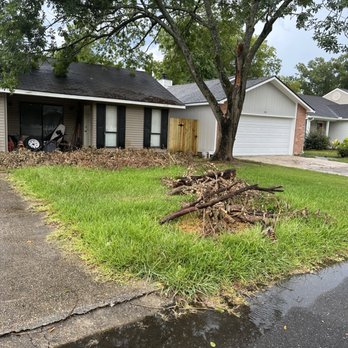 Santana Tree Service - Tree Services Near Me