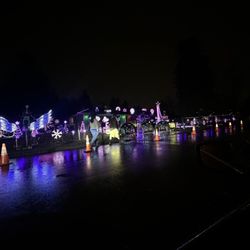 December 26th light display 2024