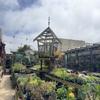 Clement Nursery - Nurseries & Gardening Near Me - San Francisco, California Clement Nursery - Nurseries & Gardening Near Me - San Francisco, California