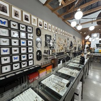 The Gold Bug - Jewelry Near Me - Pasadena, California