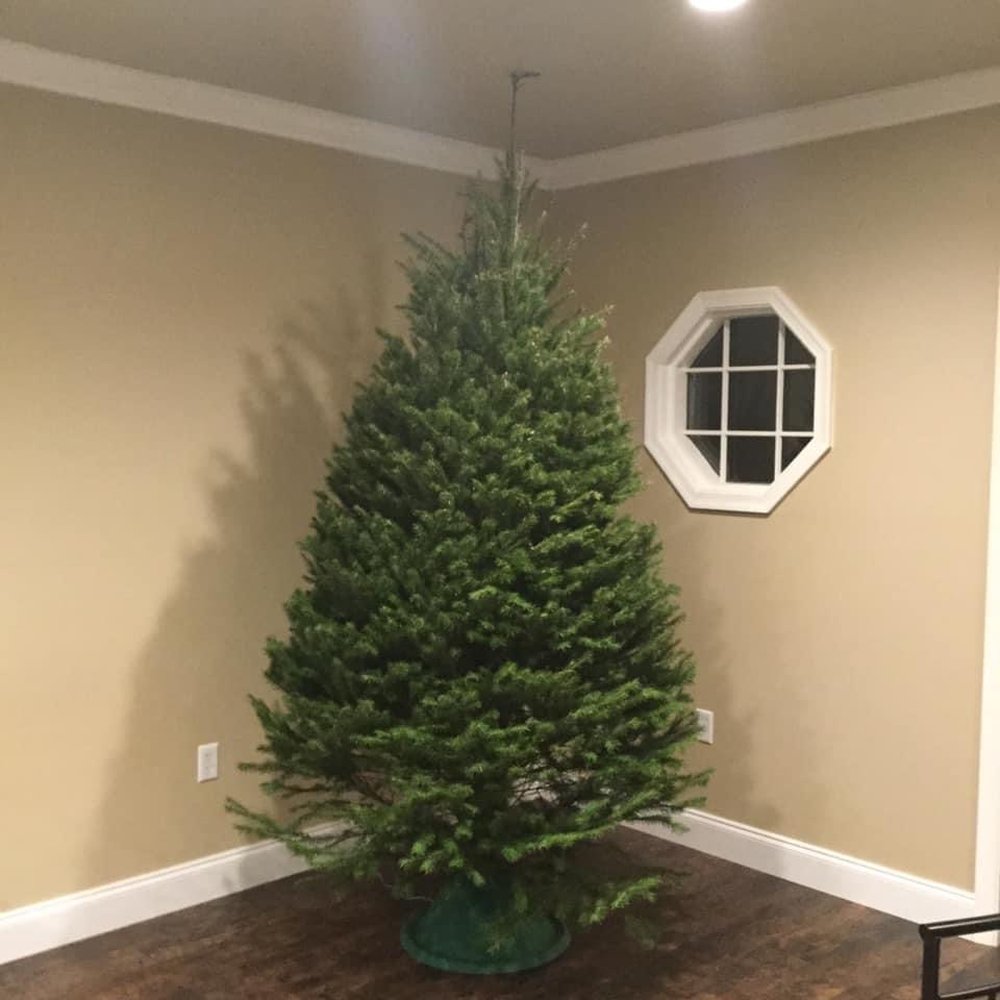 Kenny Alexander's Christmas Trees - Holiday Decorations Near Me - Hatboro, Pennsylvania