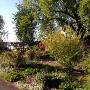 Central City Park - Parks Near Me - Corvallis, Oregon