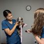 Photo of Express Vet NM
