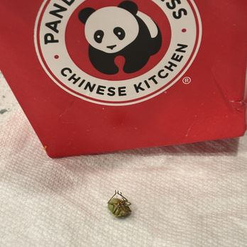 Panda Express - Green ugly bug, it was in the food - Chinese Near Me - Brentwood, California