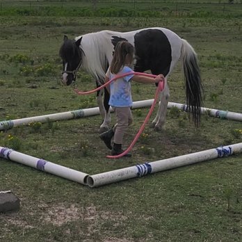 The Silver Lining Training Center - Prince - Horseback Riding Near Me The Silver Lining Training Center - Prince - Horseback Riding Near Me