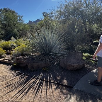 Boyce Thompson Arboretum - Botanical Gardens Near Me - Superior, Arizona