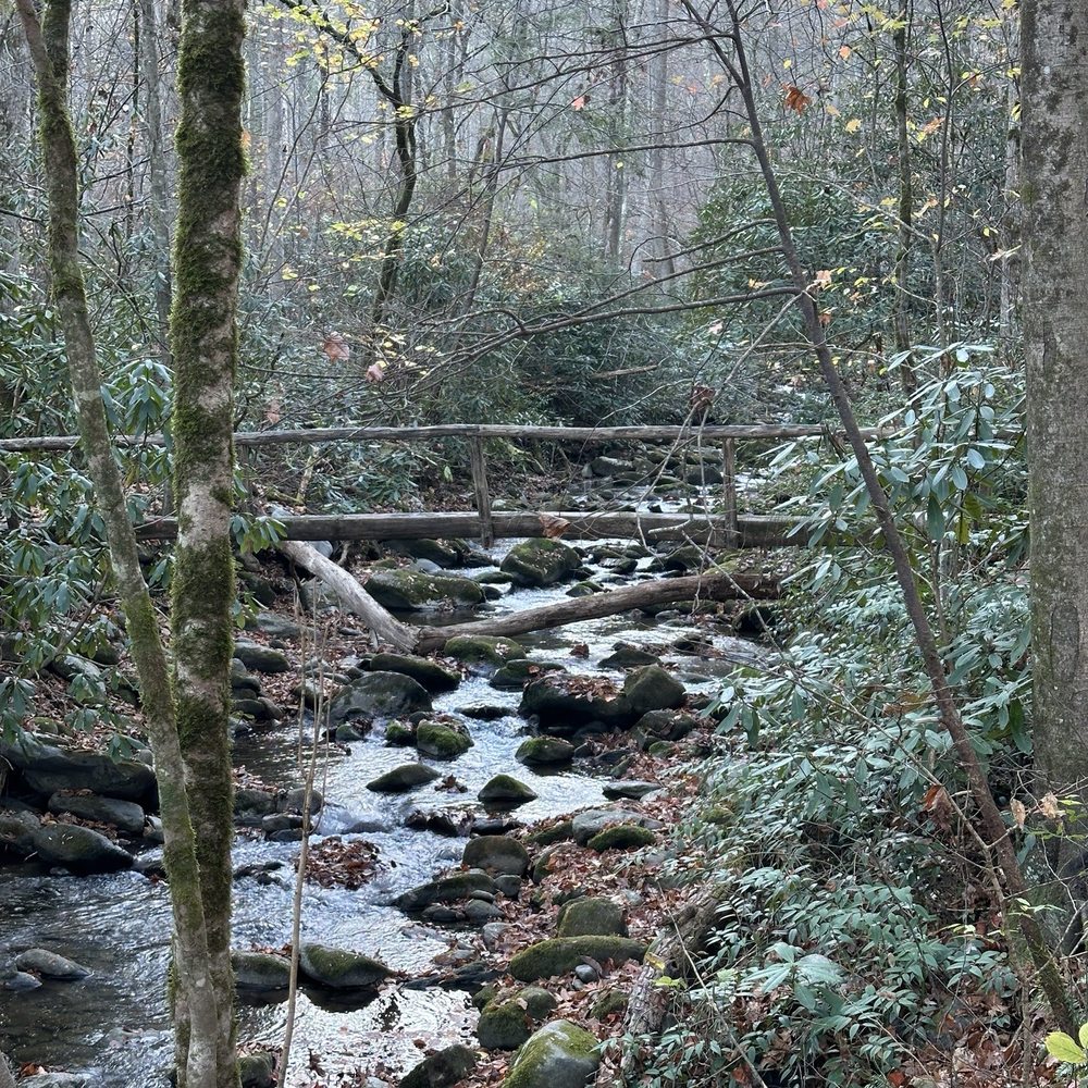 Mynatt Park - Parks Near Me - Gatlinburg, Tennessee
