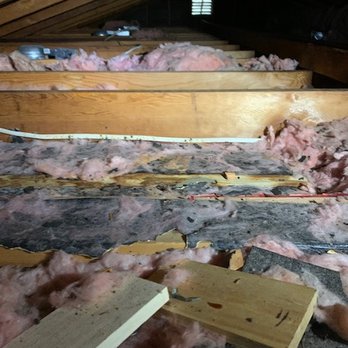 Attic Pablo Insulation Services - Before work - absolutely disgusting. - Insulation Installation Near Me - Hayward, California