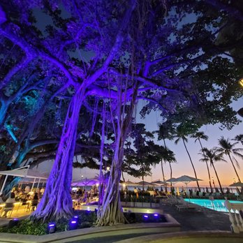 The Beach Bar - Bars Near Me - Honolulu, Hawaii