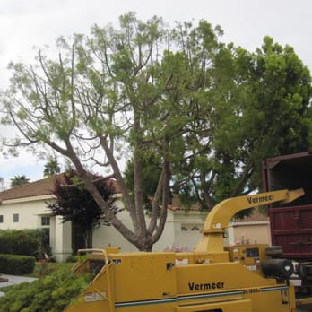 Gutierrez Landscape & Tree Service - a tree being removed - Landscaping Near Me - Vista, California Gutierrez Landscape & Tree Service - a tree being removed - Landscaping Near Me - Vista, California