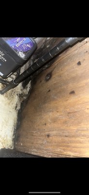 Spice House Restaurant & Lounge by null