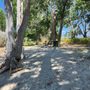 Photo of Shoreline Park