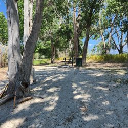 Shoreline Park - Bench seating around pond