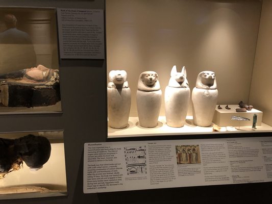 Albany Institute of History & Art by null