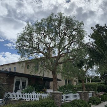 SGG Tree Care - Tree Services Near Me SGG Tree Care - Tree Services Near Me