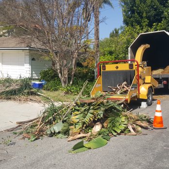 Vero's Tree Service - Tree Services Near Me - Simi Valley, California