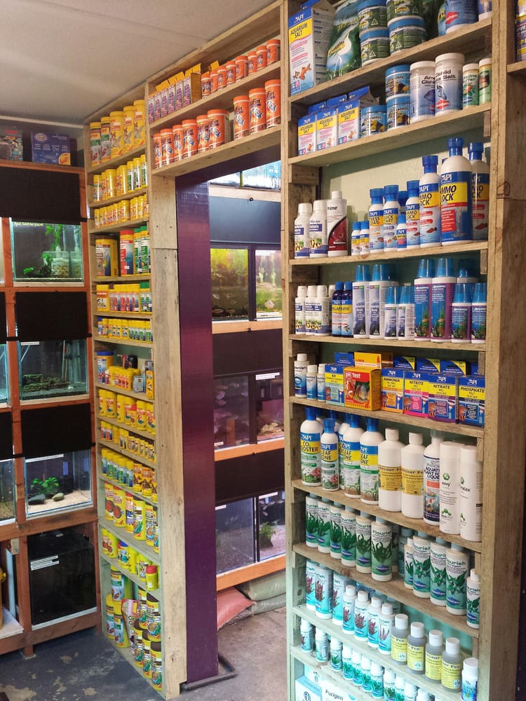 FISHCHICK AQUATICS Updated June 2024 17/478 Ipswich Rd, Annerley